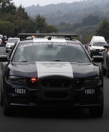 Seguridad Pública